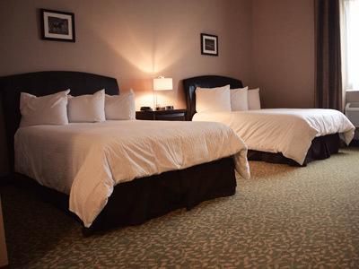 Belvedere Inn Schenectady - Albany Room photo